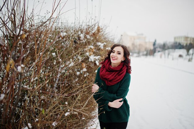 Chica morena en suéter verde y bufanda roja al aire libre contra arbustos en el día de invierno por la noche