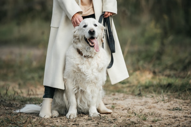 Chica con perro golden retriever blanco en el sendero del bosque