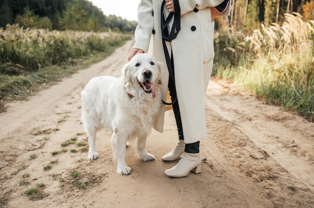 Chica con perro golden retriever blanco en el sendero del bosque