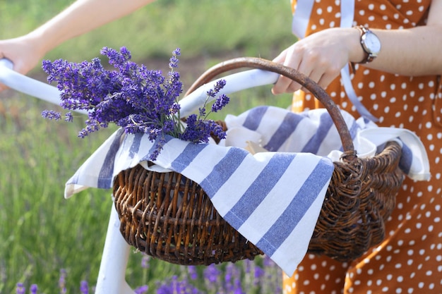 Chica provenzal en el campo de lavanda.