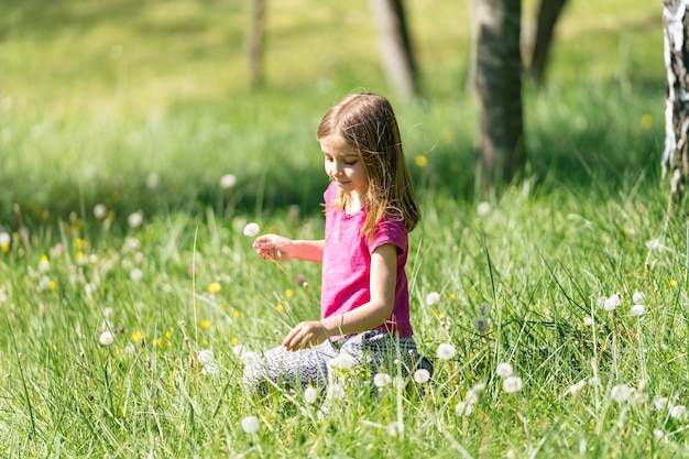 Chica rubia recogiendo flores diente de león que sopla sentado en la hierba verde en el campo