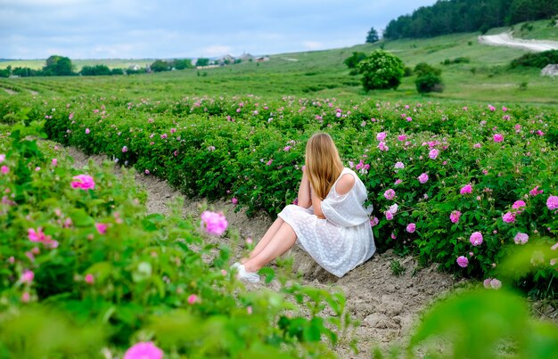 Chica rubia con vestido blanco en una plantación de rosas en flor