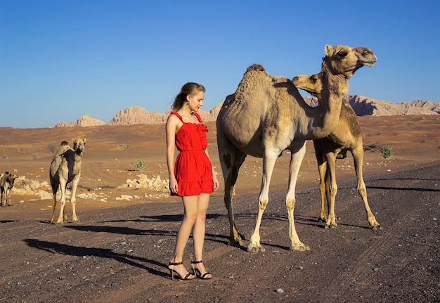 Chica sexy posando con camellos salvajes en el desierto de la carretera