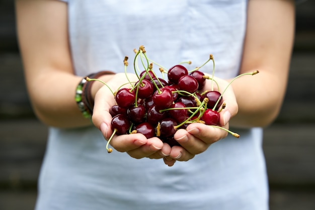 Chica sosteniendo cerezas maduras en sus manos
