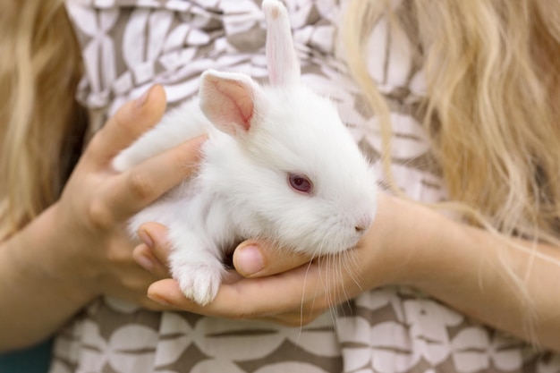 Chica sosteniendo en las manos un pequeño conejo blanco