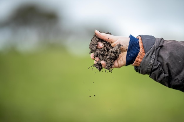 Chica sosteniendo una muestra de suelo en una granja en Australia