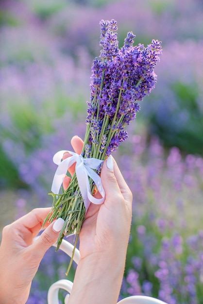 Chica sosteniendo un ramo de lavanda en sus manos especies de plantas