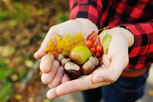 Foto chica sostiene sus manos en hojas de otoño, bellotas, bayas y avellanas