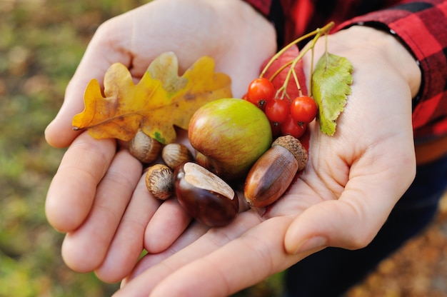 Chica sostiene sus manos en hojas de otoño, bellotas, bayas y avellanas