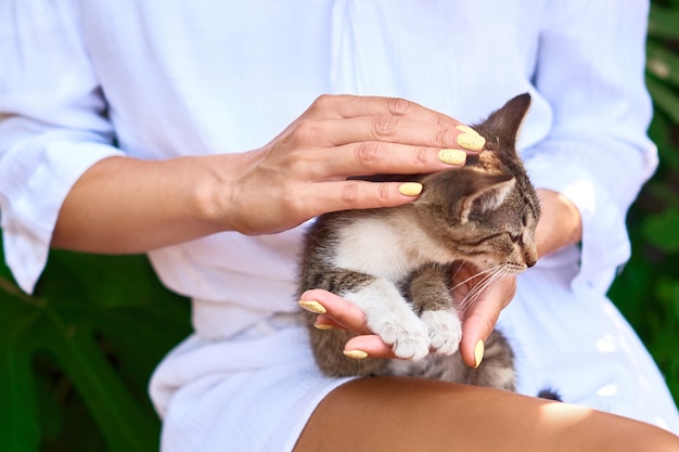 Chica sujeta, acaricia y acaricia a un gatito en sus brazos sobre fondo de camisa blanca. gatito se sienta en las palmas de la mujer