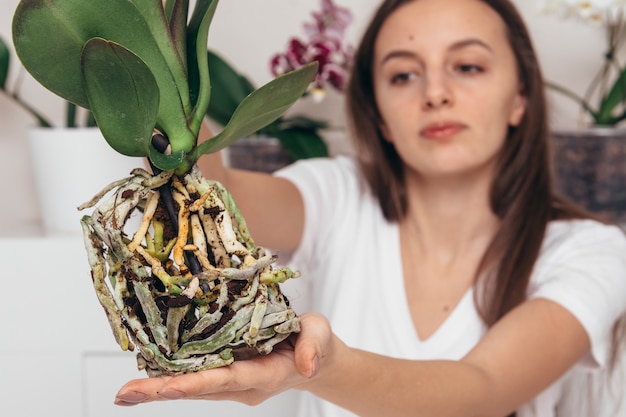 Chica sujetando la raíz de la flor de la orquídea