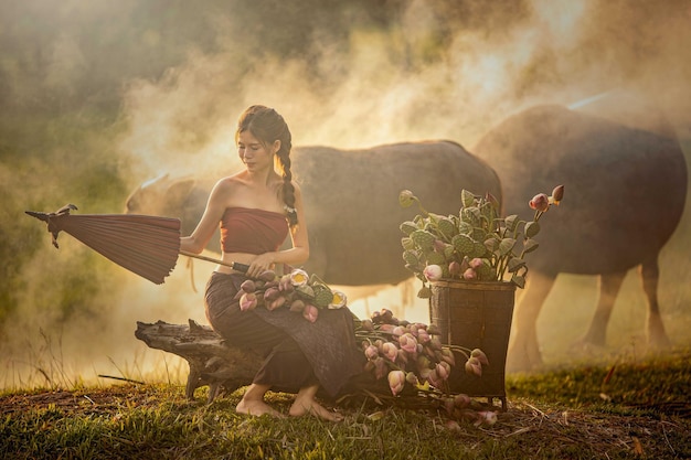 chica tailandesa recogiendo loto y su búfalo