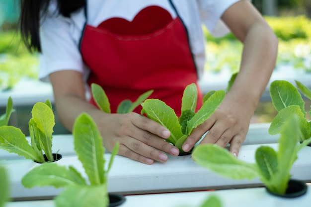 Chica trabajando con verduras en el jardín de la granja hidropónica.