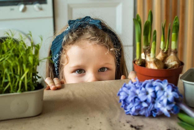 Chica trasplanta flores y plantas de interior un niño en un pañuelo plantas bulbos jacintos microgreens