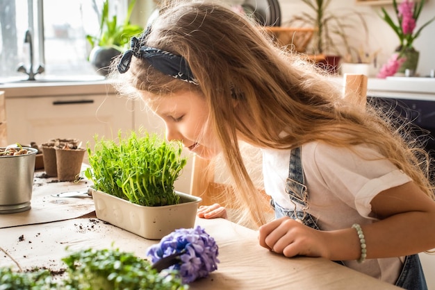 Chica trasplanta flores y plantas de interior un niño en un pañuelo plantas bulbos jacintos microgreens