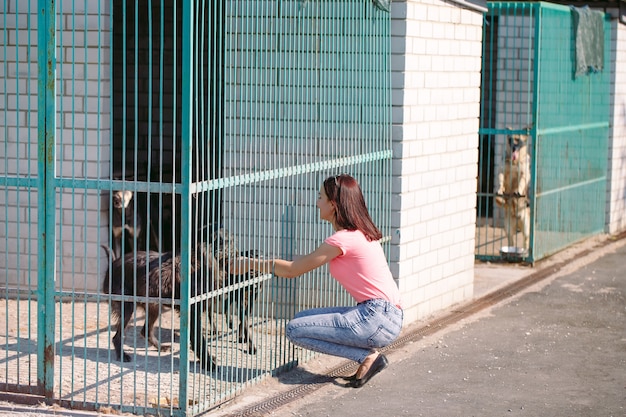Chica voluntaria en la guardería para perros. Refugio para perros callejeros.