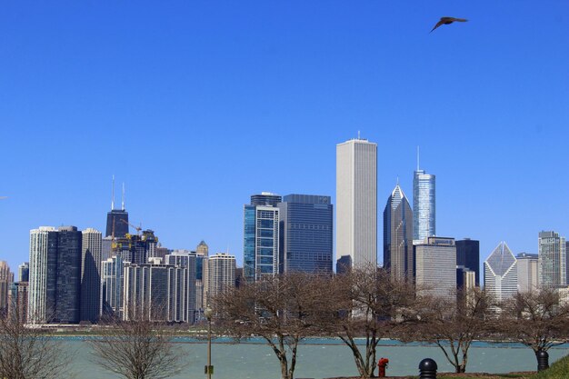 Chicago América EUA