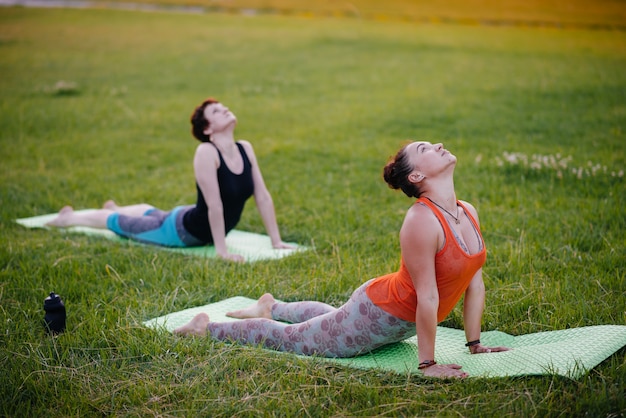 Las chicas jóvenes hacen yoga al aire libre en el parque durante el atardecer. Estilo de vida saludable.