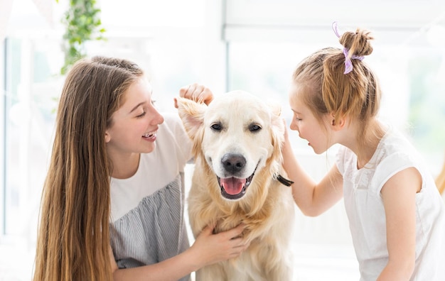 Chicas lindas susurrando secretos en los oídos de los perros en el interior