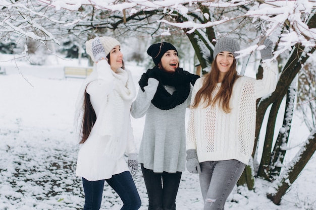 chicas en el parque de invierno