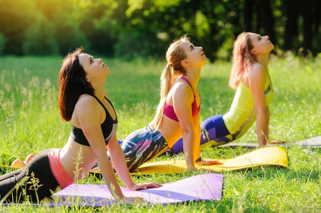 Chicas posando yoga afuera en el bosque por la mañana