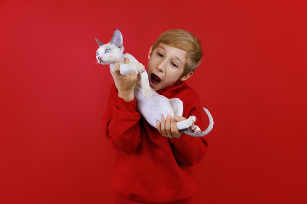 Chico alegre bromeando con su pequeño gato sosteniéndolo y tratando de morderlo