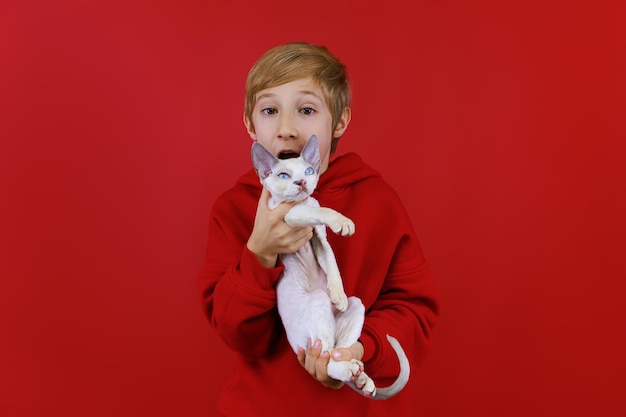 Chico alegre bromeando con su pequeño gato sosteniéndolo y tratando de morderlo