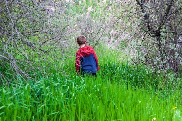 el chico en el bosque