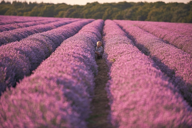 Chico en campo de verano de lavanda al atardecer