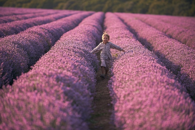 Chico en campo de verano de lavanda al atardecer