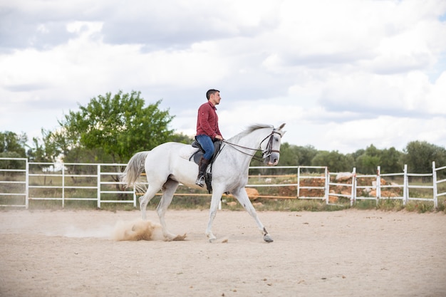 Chico joven en traje casual a caballo blanco sobre suelo arenoso