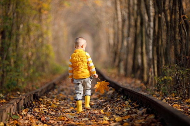 Foto chico lindo caminando en un ferrocarril sonriendo túnel de amor de tiempo de otoño en lugar romántico de otoño