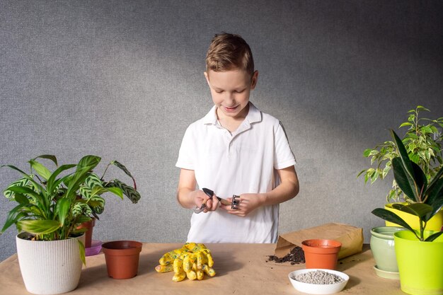 Un chico lindo cuida las flores de interior y prepara una herramienta para el suelo.