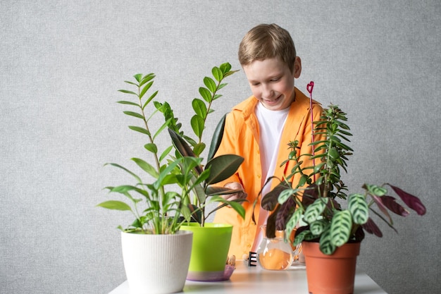 Un chico lindo cuida las plantas de interior Verifica el nivel de humedad del suelo