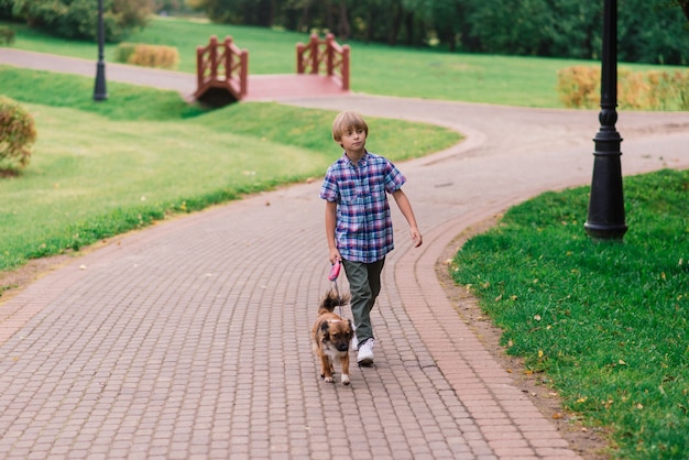 Chico lindo jugando y caminando con su perro en un prado.