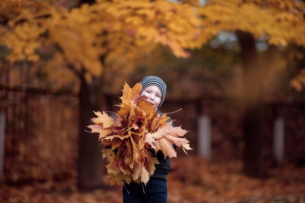 Un chico lindo con un sombrero sostiene hojas amarillas de otoño en sus manos