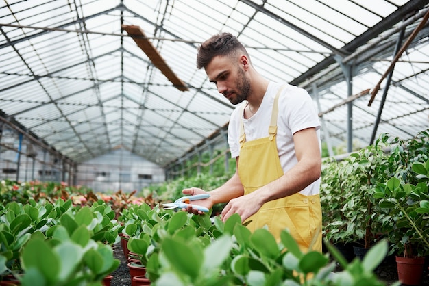 Chico de pie junto a un montón de jarrones con plantas y tijeras en la mano.