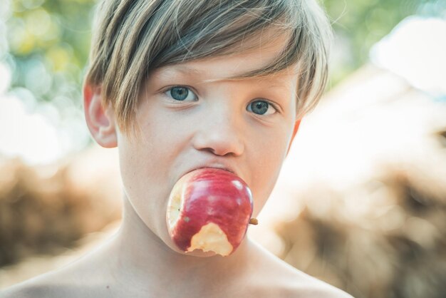 El chico rubio se acuesta en el fondo del heno y se come una venta de manzanas para toda la colección de otoño increíble