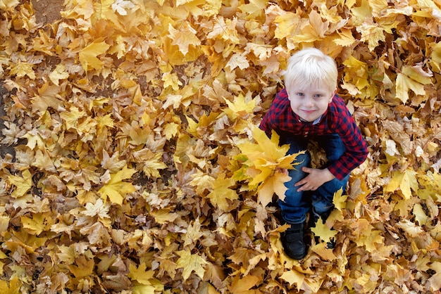 Chico rubio con un ramo de hojas de otoño se para y mira hacia arriba Vista superior Concepto de otoño