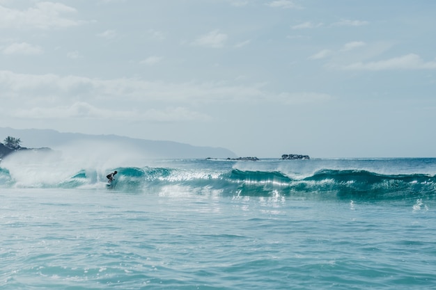 Foto chico surfeando una ola en hawaii