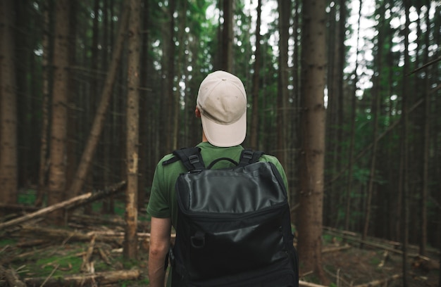 Chico turista en camiseta verde de pie entre los abetos en el bosque