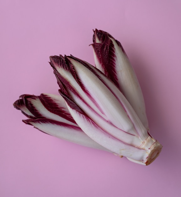 Chicória vermelha fresca em um fundo rosa