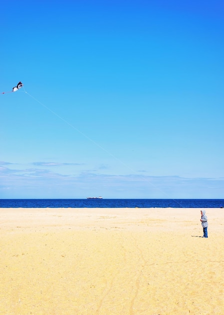 Child and Paper Kite acima da costa do Oceano Atlântico em Sandy Hook com vista para Nova York. Sandy Hook está em Nova Jersey, EUA.