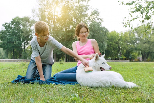 Children está penteando seu cachorro com uma escova especial