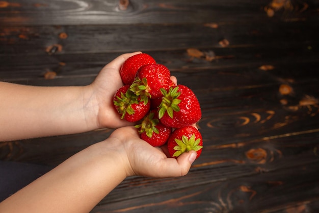 Childs Hände halten eine Handvoll Erdbeeren hautnah