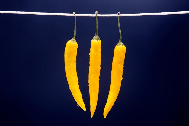 Chile picante amarillo sobre un fondo azul oscuro. Pimienta. Alimentos vitamínicos vegetales.