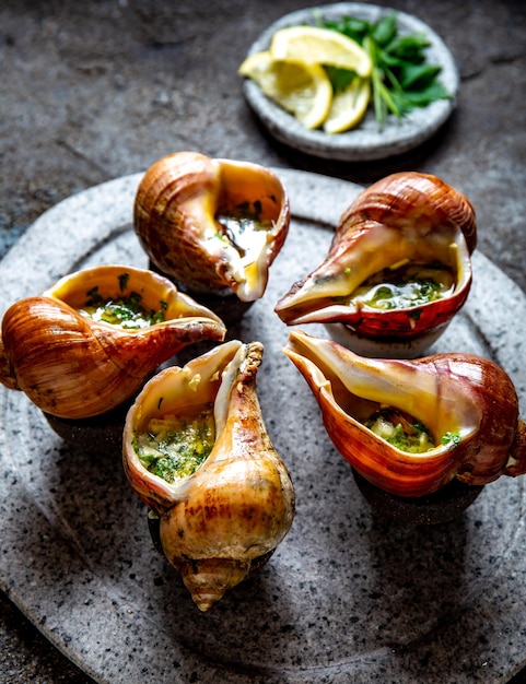 Chilenische Riesenschnecken mit Butterknoblauch und Kräutern auf grauer Steinplatte, Schnecken aus dem Pazifischen Ozean