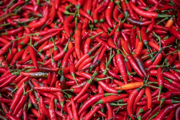 Chiles candentes a la venta