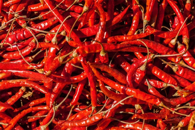 Chiles picantes rojos