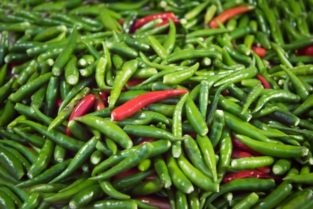 Los chiles rojos y verdes del ojo de pájaro se apilan juntos para varias semillas.